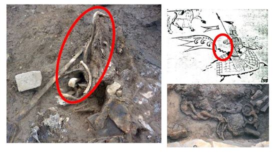 공주 공산성서 백제 목곽고·말안장 깃대꽂이 발굴