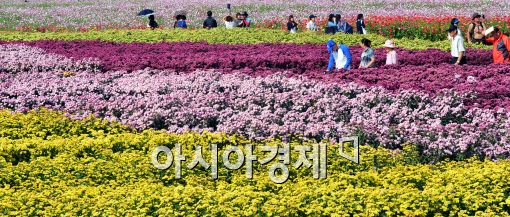 [포토]'가을 만끽하며...'