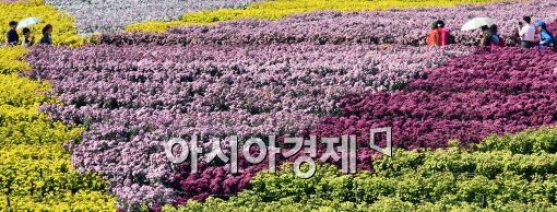 [포토]'찾아온 가을'