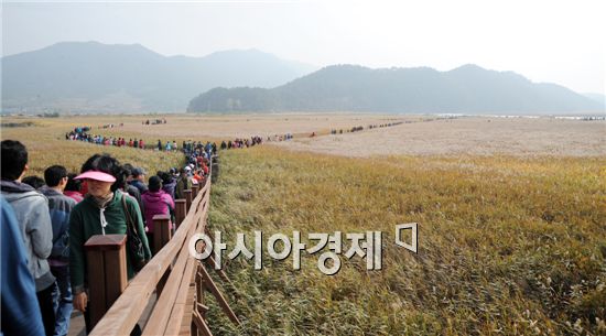 "순천만 갈대愛· 순천만"에 빠지다~제16회 순천만갈대축제