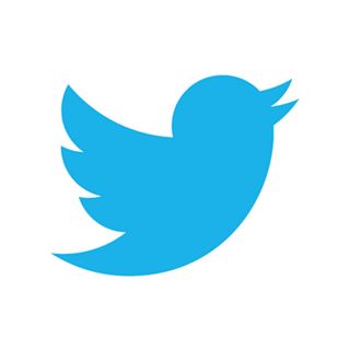 트위터, ‘다수 의견 한눈에’ 투표기능 도입 검토