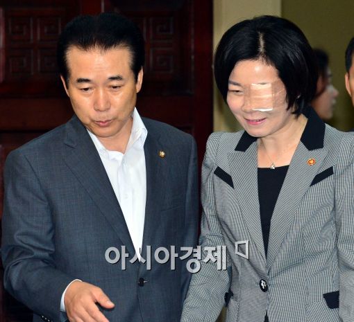 [포토]예산 논의하는 나성린-김희정