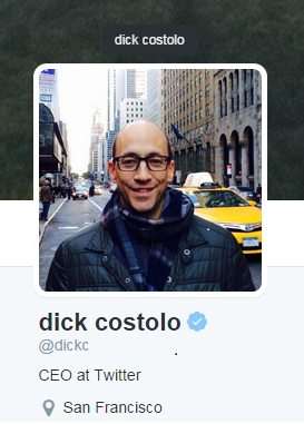 계정을 인증받은 딕 코스톨로 트위터 최고경영자(CEO)의 프로필 페이지.(화면 캡처)
