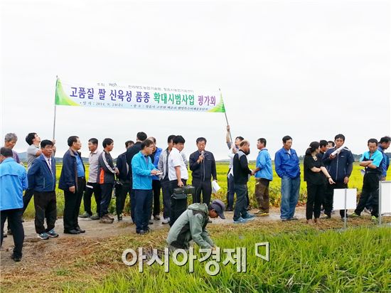 정읍시농업기술센터,  벼 신품종 평가회 개최