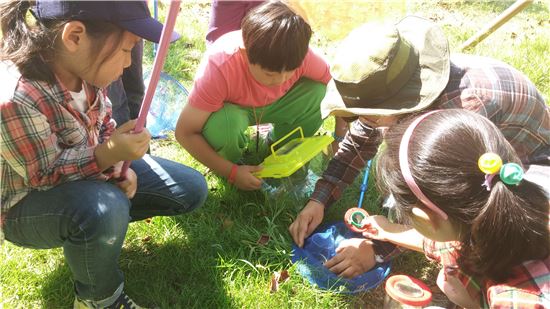 광주 남구 ‘숲 생태놀이’ 아이와 학부모들에 ‘인기’