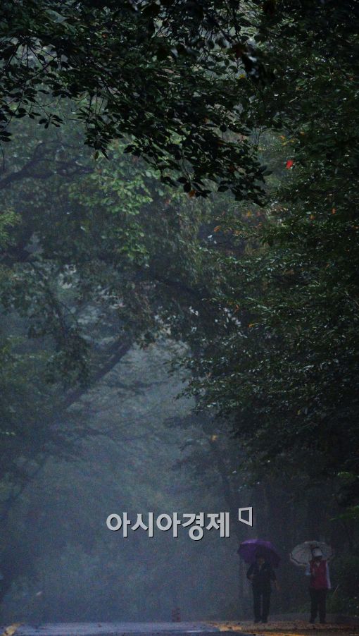 [포토]자욱한 안개속 남산