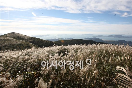 억새의 향연, 장흥‘천관산 억새제’10월 5일 개최