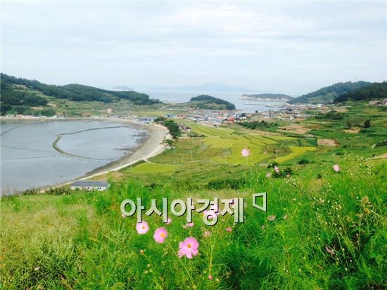 완도 청산 도락어촌체험마을, 관광객 맞을 채비 완료