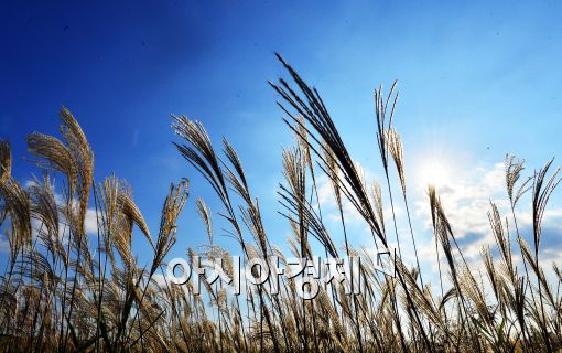 [포토]'가을이다'