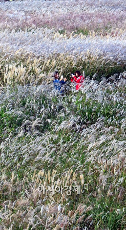 [포토]'완연한 가을 맞이'