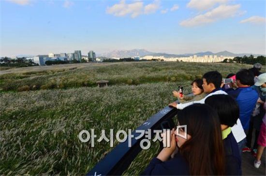[날씨]오늘 '한로' 전국 맑고 일교차 커…"한로가 무슨 뜻이야?"