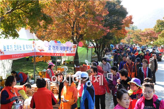 장성 백양단풍축제