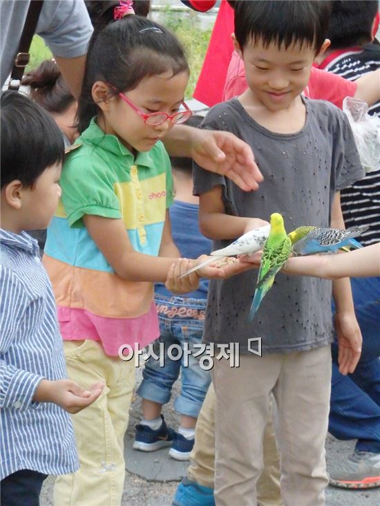 우치동물원에서  어린이들이 앵무새에게 먹이를 주고있다.