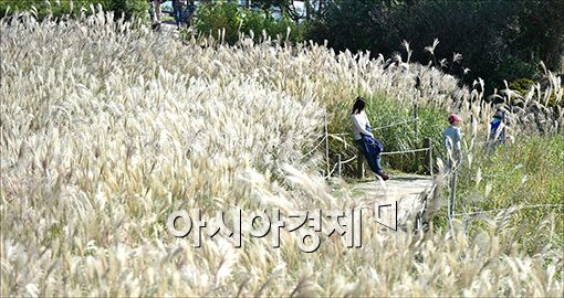 [포토]가을이 오는 길목