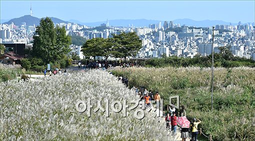 [포토]어느새 우리곁에 다가온 가을