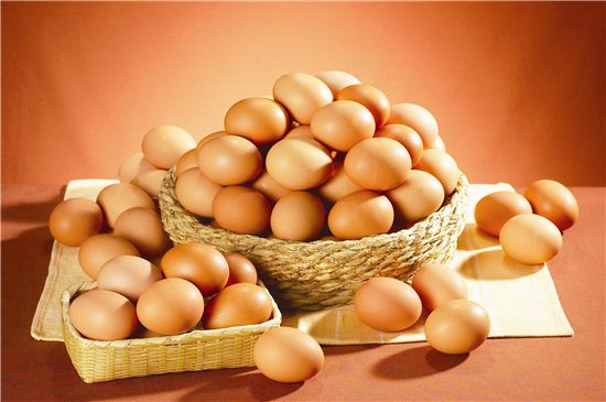 롯데마트가 계란 소비촉진 행사를 진행한다.