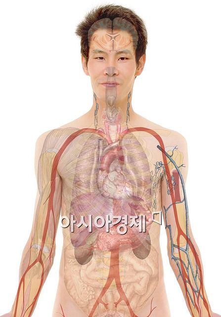 노벨상, '몸 속 GPS' 발견한 과학자에게 돌아가 "상금이 무려…어마어마해"