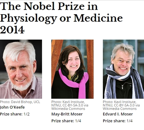 노벨 생리의학상 수상자 3명 "오랜시간 과학자들의 난제, 해결했다"