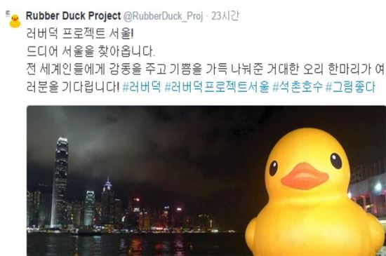 러버덕이 한국을 찾는다 [사진=러버덕 프로젝트 공식 트위터 캡처]