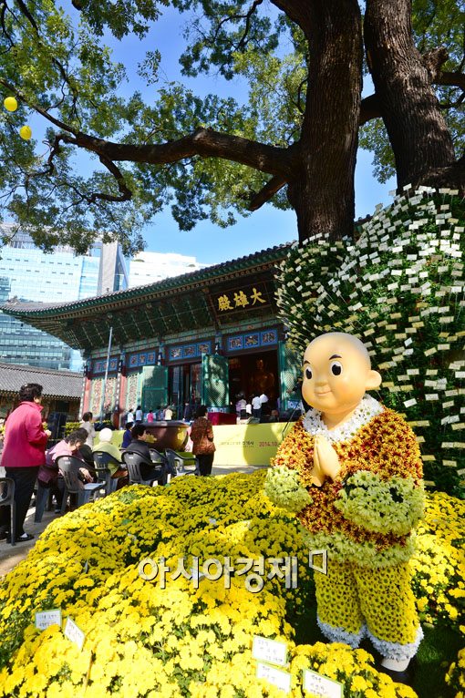 [포토]국화승복 입은 동자승 