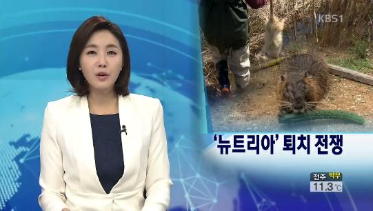 서울대 연구원 '괴물쥐' 뉴트리아 "항문만 봉합하고 풀어주마"