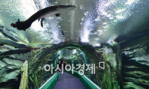 [포토]제2롯데월드 엔터테이먼트동 아쿠아리움 공개