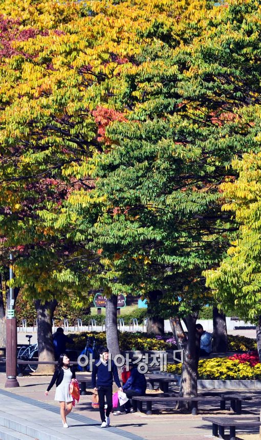 [포토]중부지방 한파주의보, 여전히 단풍 즐기는 시민들