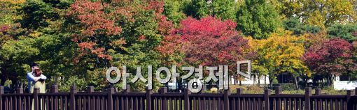 [포토]'단풍다리 위에 사랑'