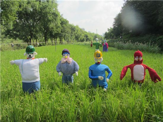 양재천 전통 가을걷이 체험