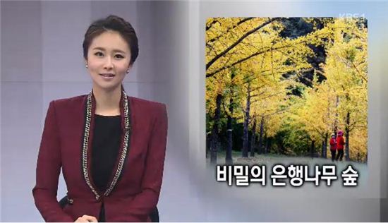 홍천 '비밀의 숲' 탄생 비화 "아픈 아내를 위해…"