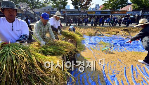 [포토]도심 속 탈곡 체험