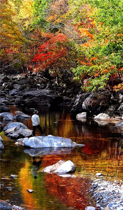 설악, 色에 빠지다