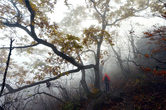 설악, 色에 빠지다