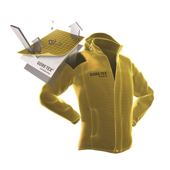 '비 사이로 막 가' 派의 비밀 