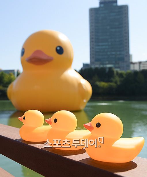 러버덕 "잠시만 안녕…", 강한 비바람으로 '휴식' 돌입