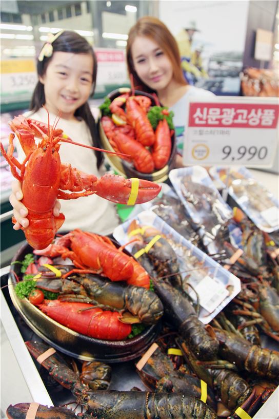 [포토]이마트 "국민 갑각류 '랍스터' 드세요"