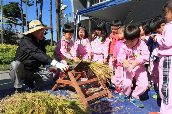 홀태로 벼의 알곡을 수확하는 어린이
