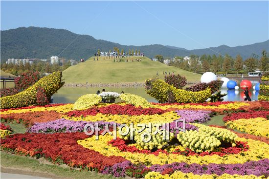 [포토]국화꽃 만개한 순천만 정원
