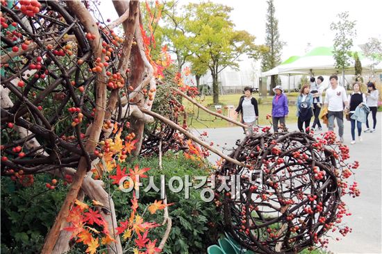 [포토]맹감과 단풍이 어우러진 함평엑스포공원