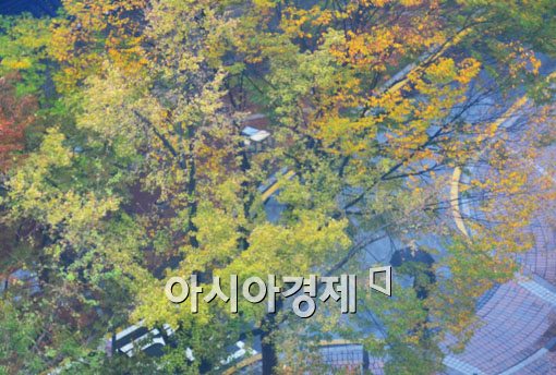 [포토]가을수채화 