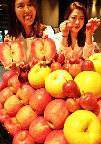 [포토]갤러리아百 "이색 사과 맛보세요"