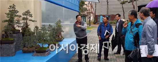 [포토]국화분재 관람하는 함평군 간부공무원들