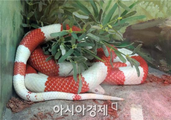 개원 앞둔 함평 국내 첫 양서·파충류 생태공원 가보니