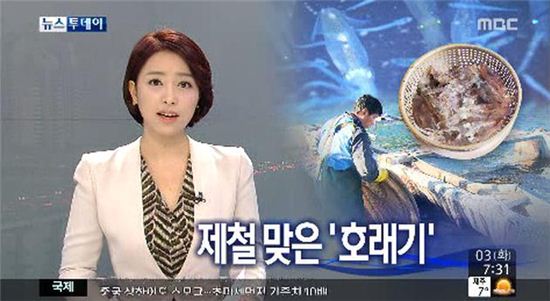 제철 맞은 '호래기' 인기…"회도 맛있고, 데쳐도 맛있고"