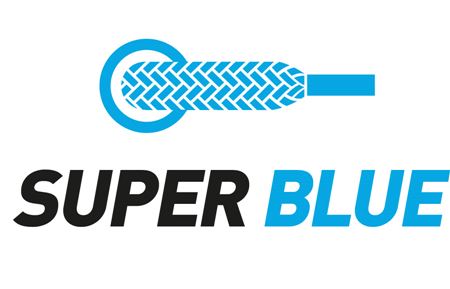 슈퍼블루 BI