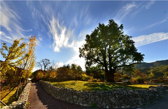 선비고장에서 만나는 가을빛 풍류