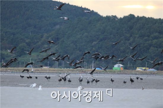 순천시,창작발레 ‘두리의 비상’ 무대에 올린다.