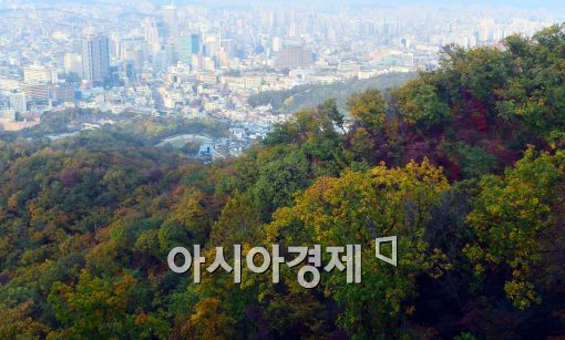 [포토]물들어가는 남산 단풍