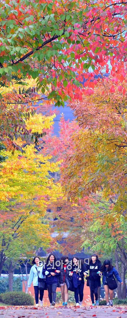 [포토]단풍 든 서울숲....가울 물씬