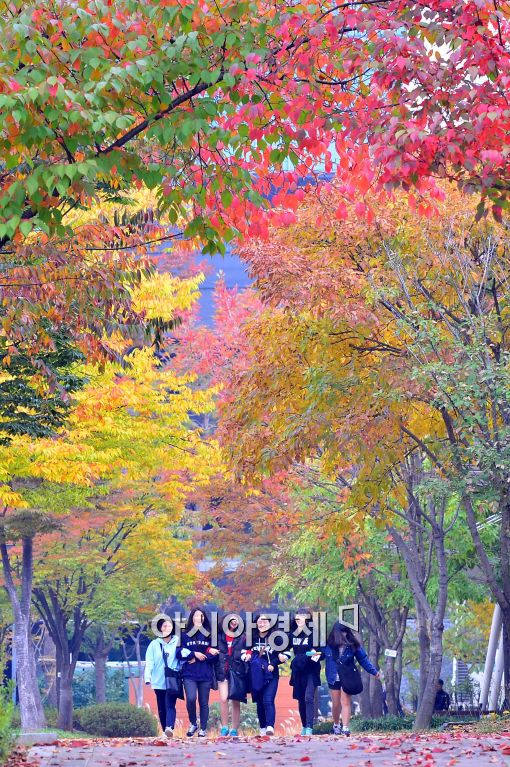 [포토]'단풍과 함께'